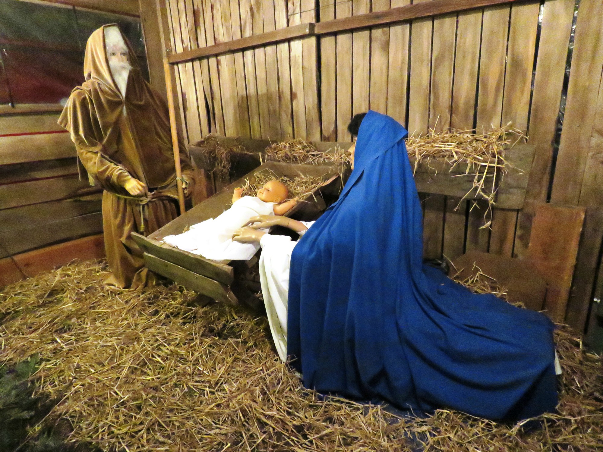 Kerststalzingen aan de KWB kerststal van de Melis Stokelaan