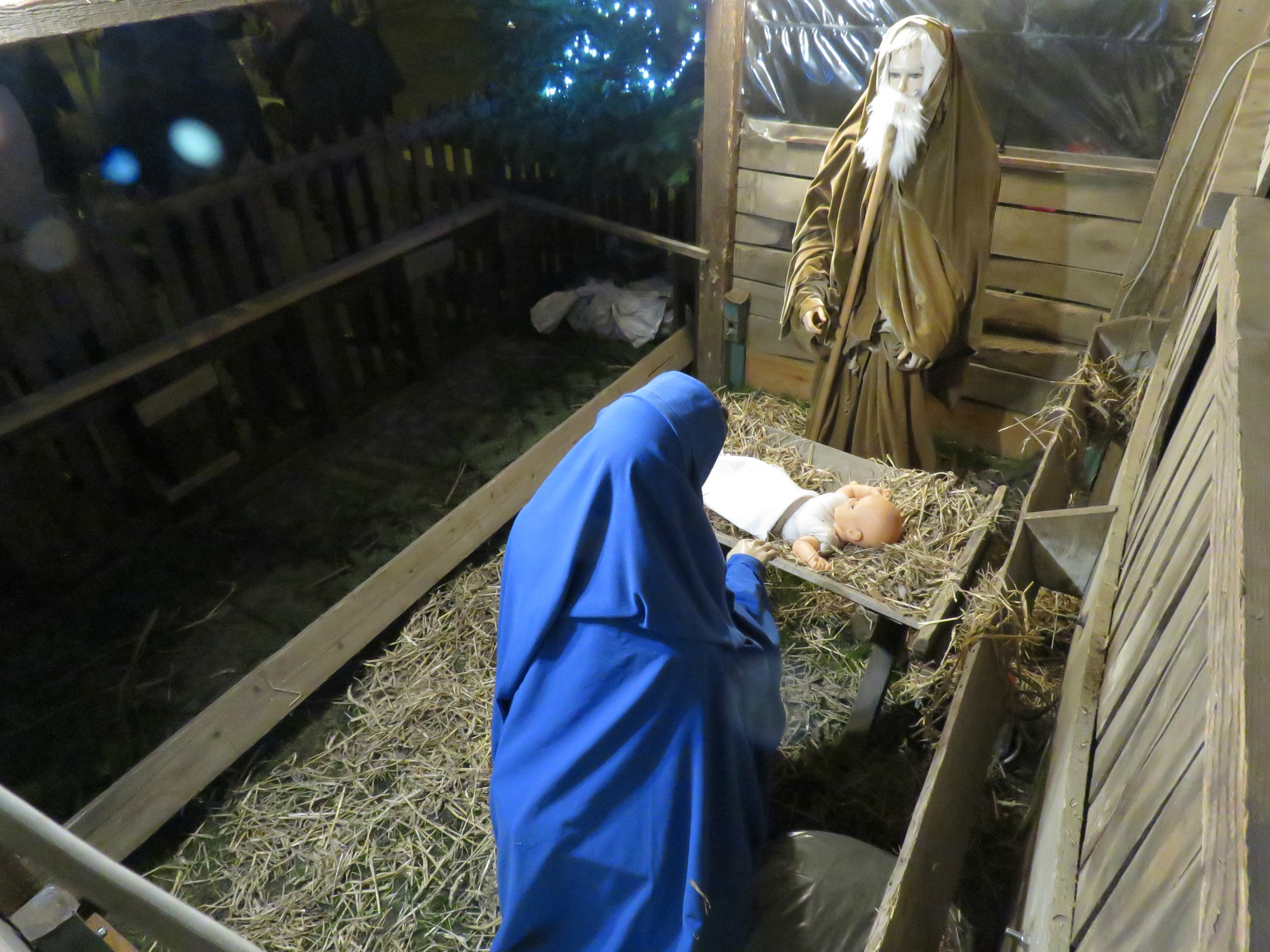 Driekoningen zingen aan de KWB kerststal in de Melis Stokelaan