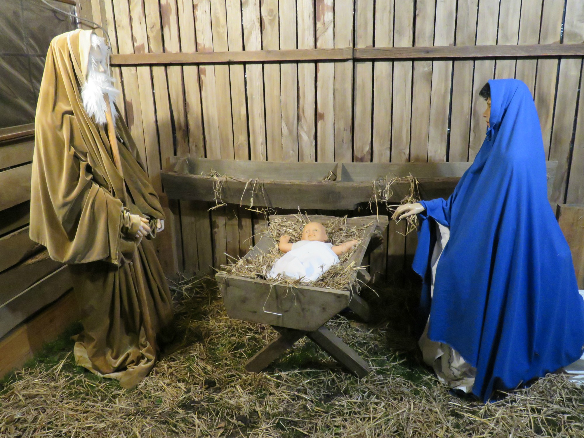 Driekoningen zingen aan de KWB kerststal in de Melis Stokelaan