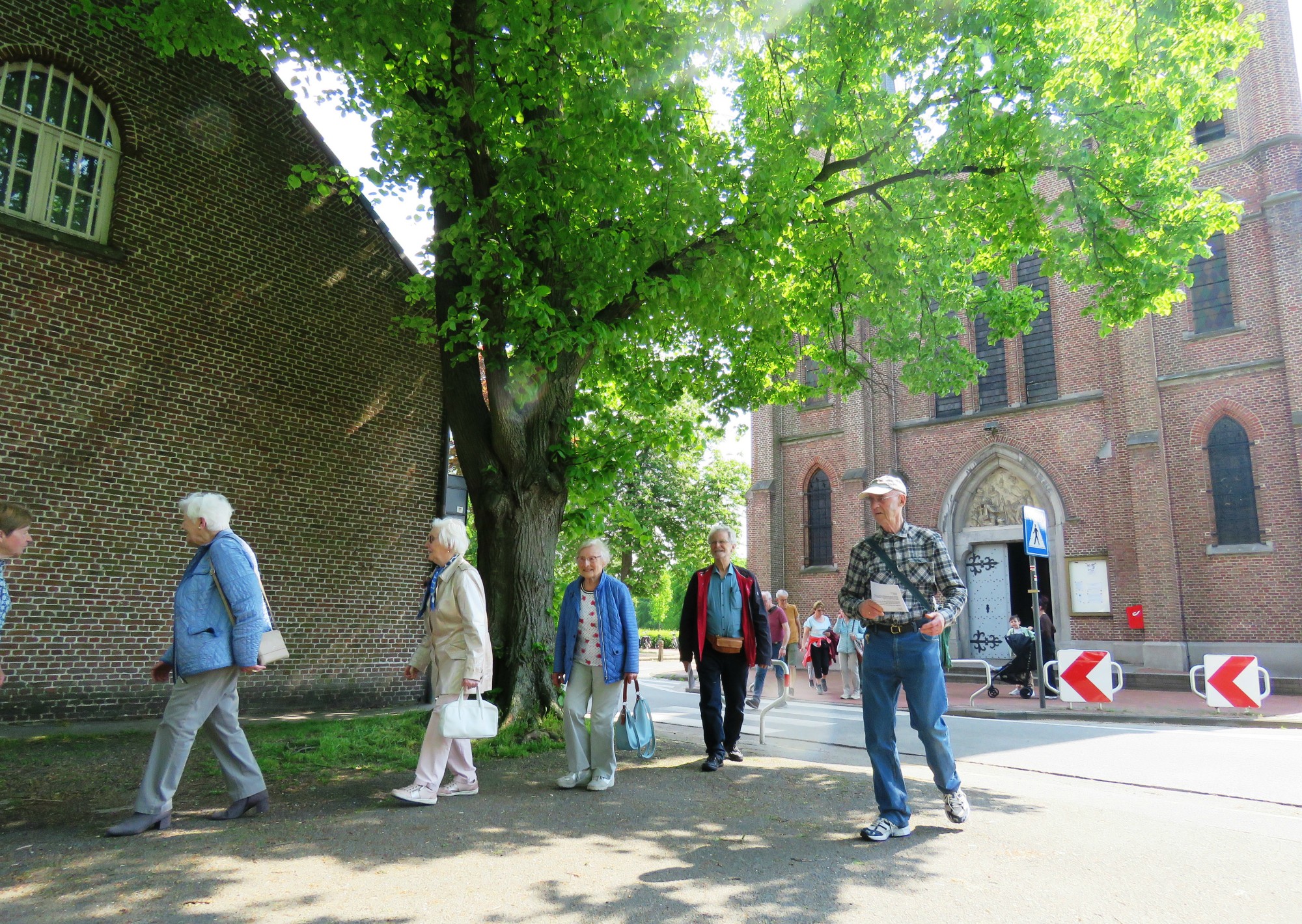 Een beeweg temidden van een prachtige natuur